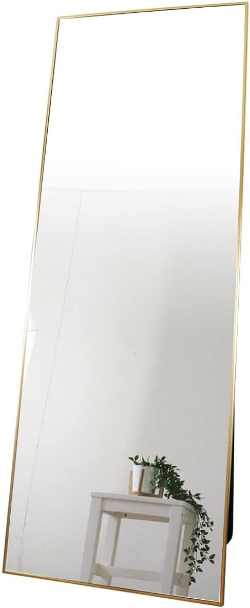 Modern aluminum frame stand wide mirror