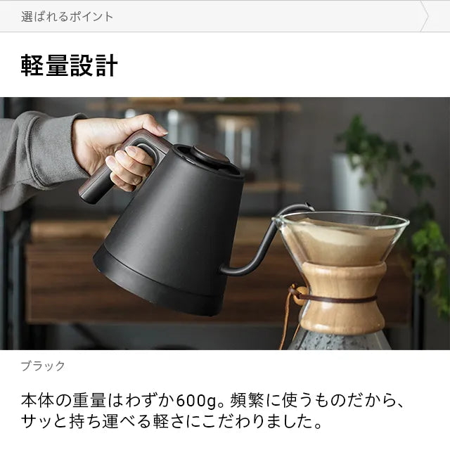 Electric kettle with temperature control function