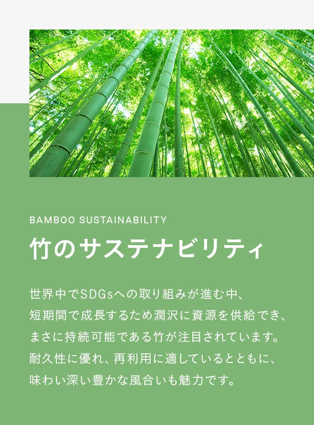 Bamboo slat bed [S/SD/D]