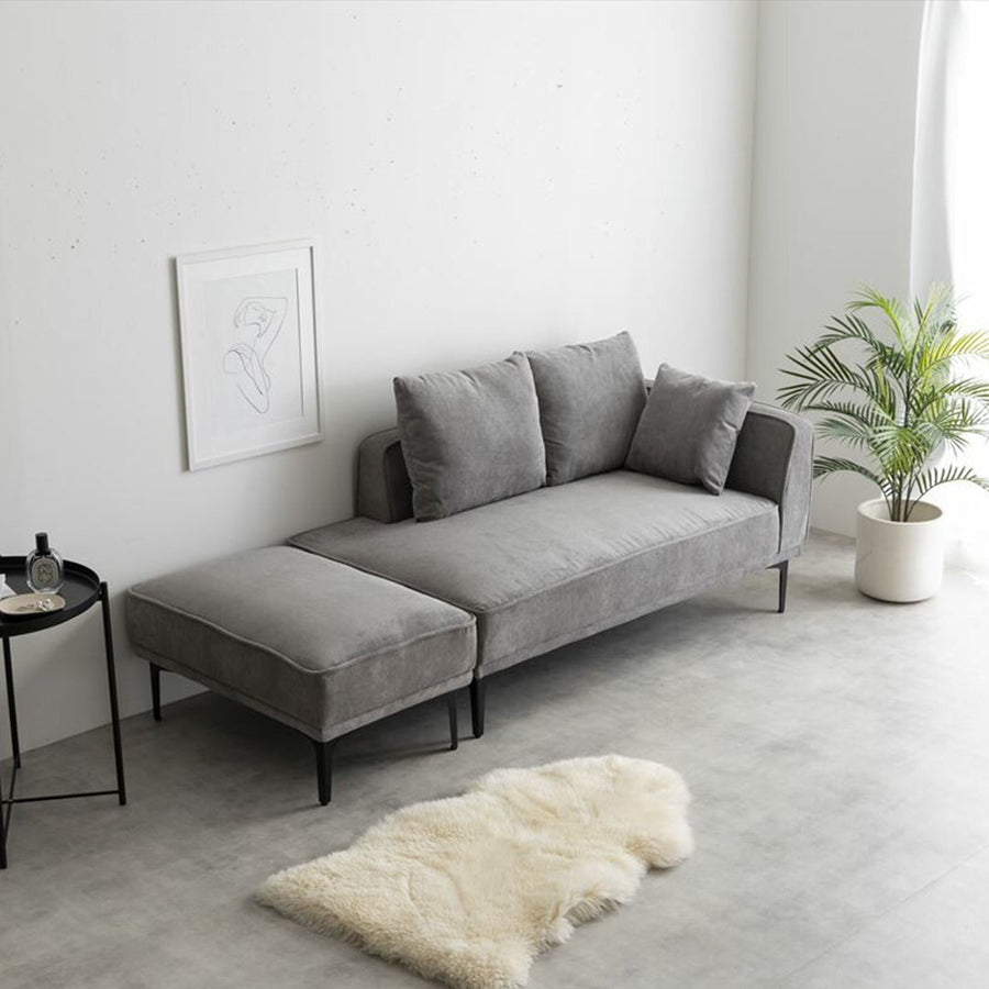 2-seater couch with ottoman