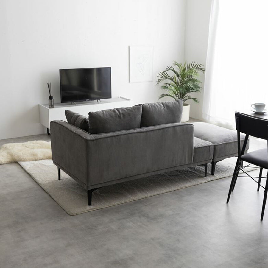 2-seater couch with ottoman