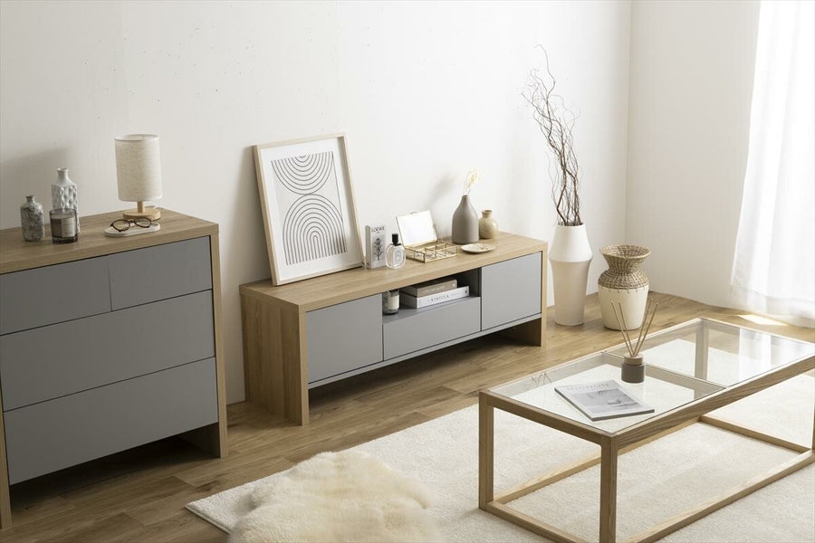 Scandinavian modern noiseless design TV stand