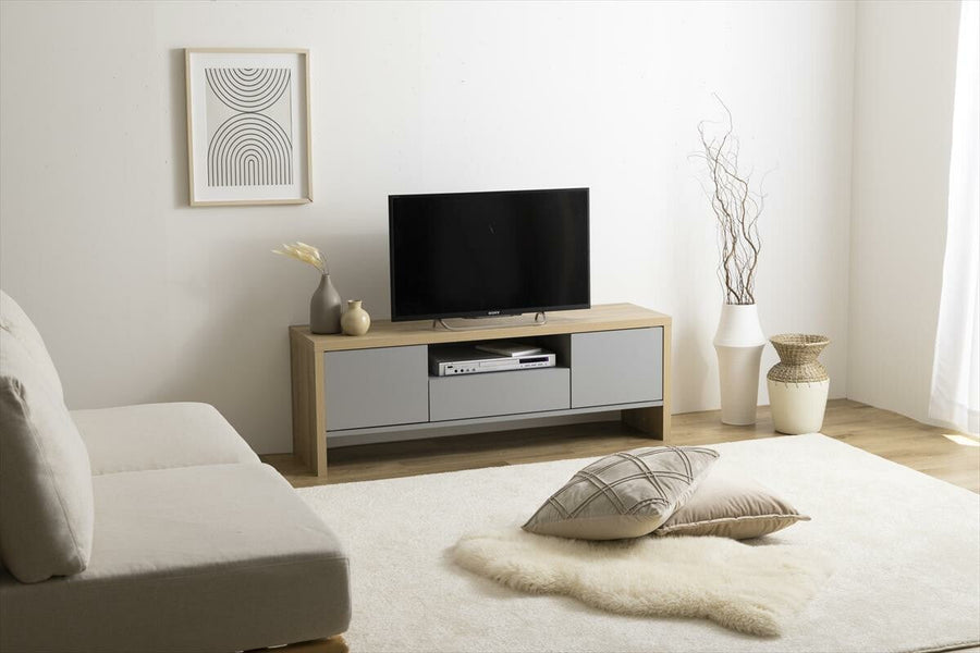 Scandinavian modern noiseless design TV stand