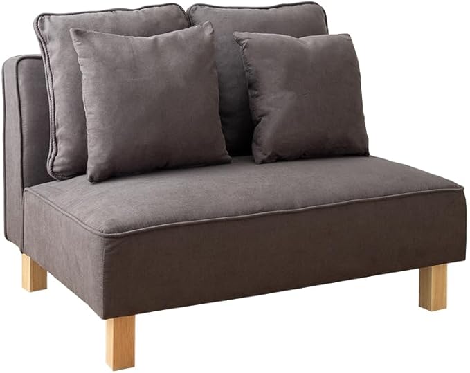 Simple 2-way 2-seater sofa with cushion