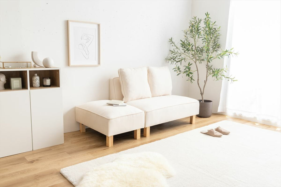 Simple 2-way 2-seater sofa with cushion