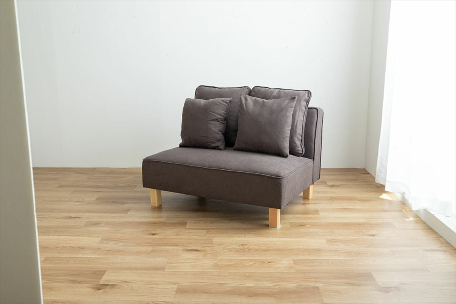 Simple 2-way 2-seater sofa with cushion