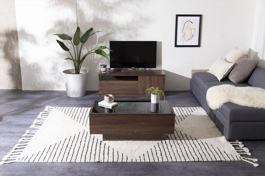 Modern wooden glass top center table