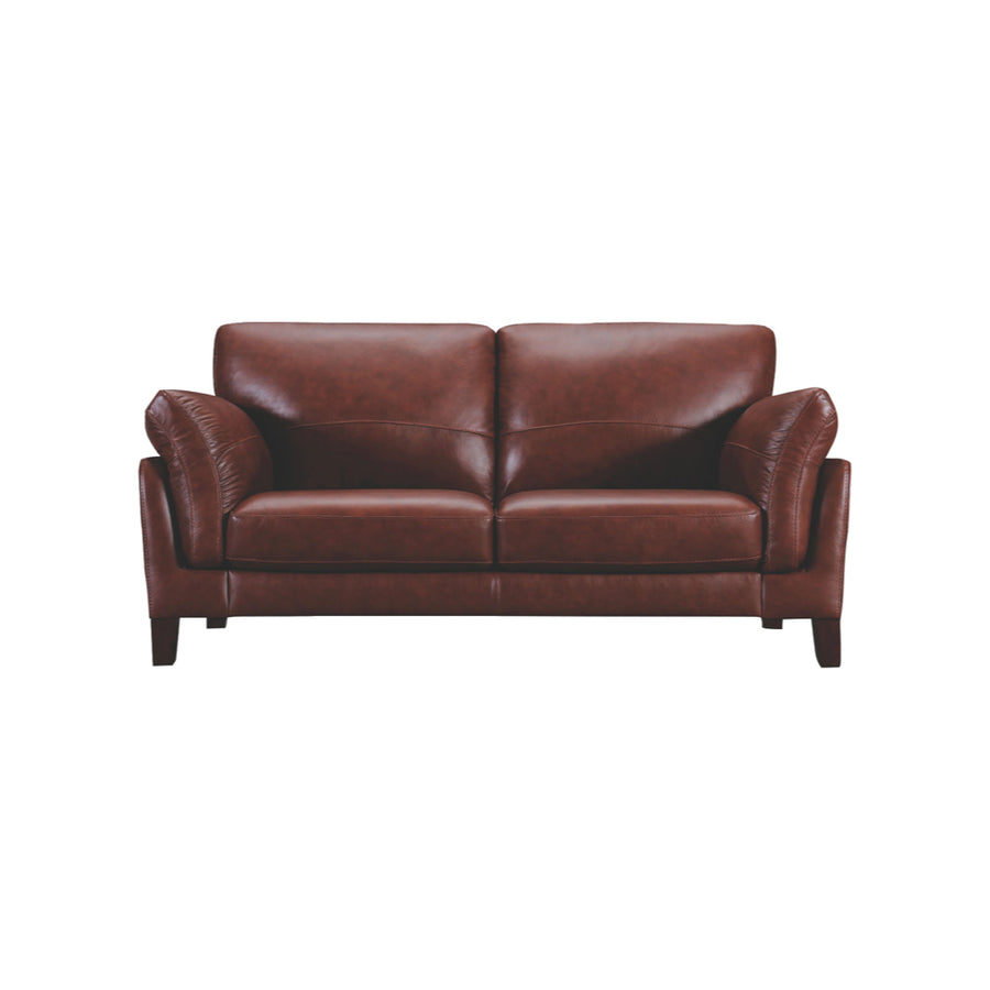 アルタイル ブラウン