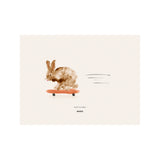 MADO Rocky the Rabbit 30×40cm
