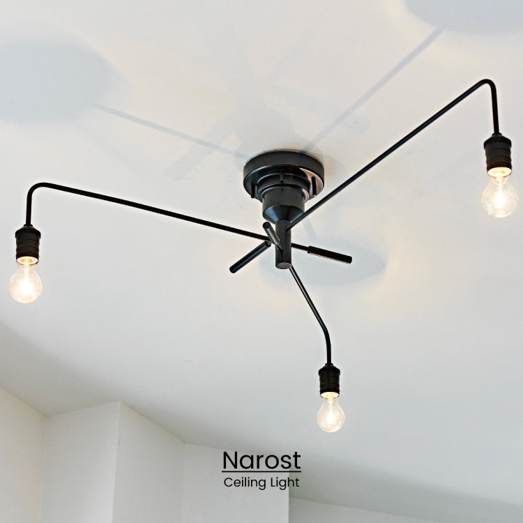 Narost Ceiling Light シーリングライト