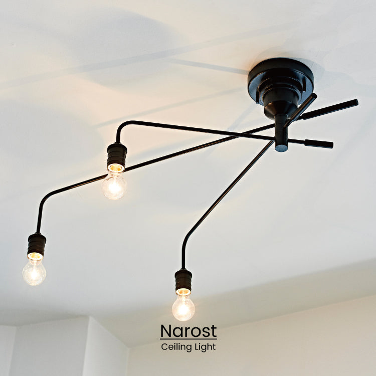 Narost Ceiling Light シーリングライト