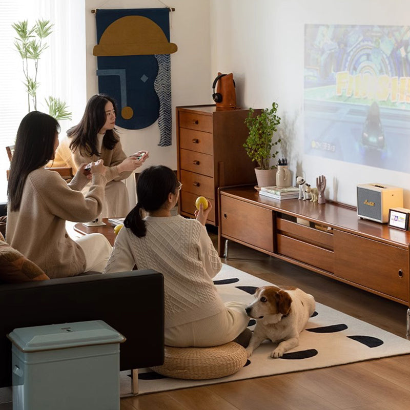 Boxwood retro style TV stand with stainless steel legs