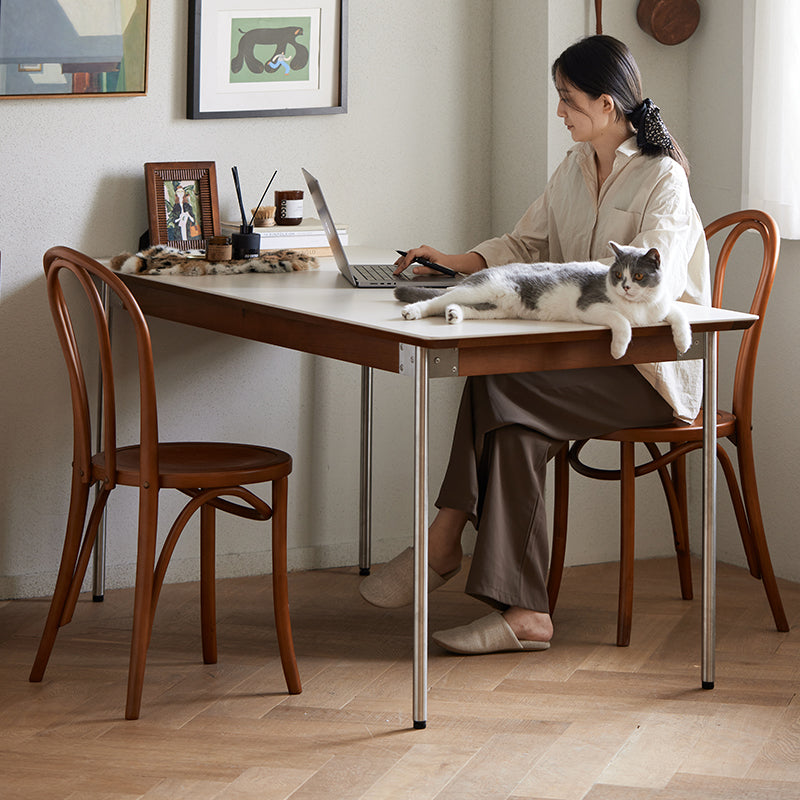 Boxwood and ceramic dining table with stainless steel legs