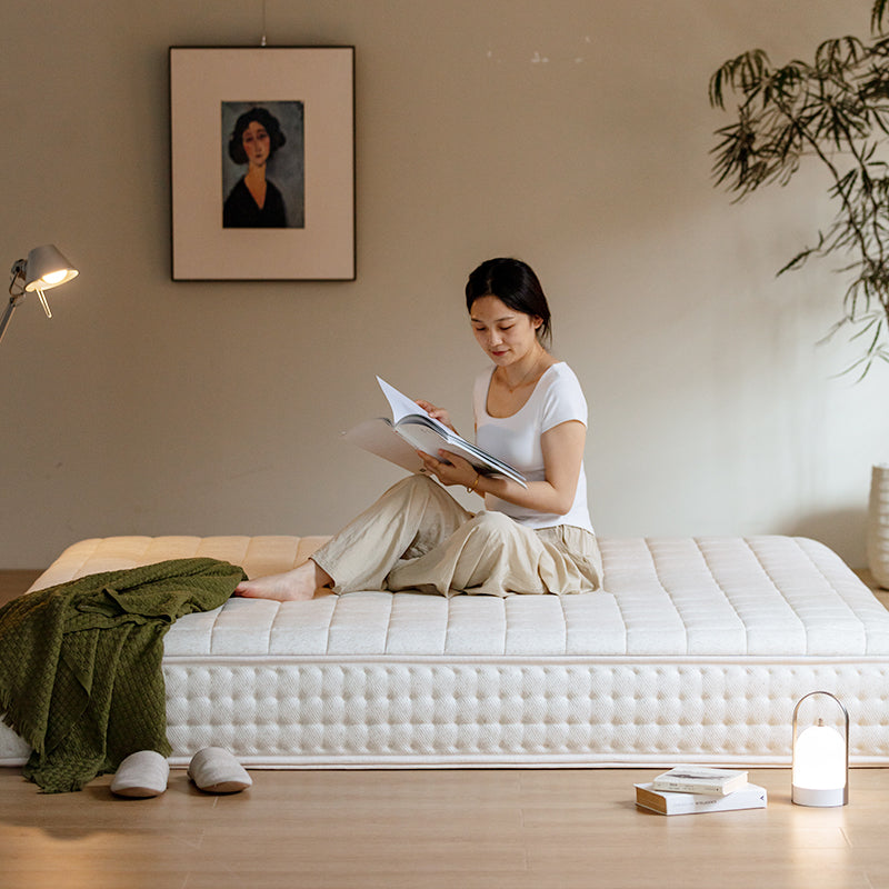 Modern Sleep Mattress