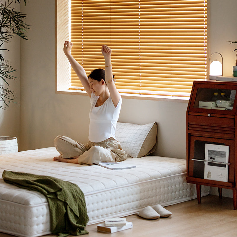 Modern Sleep Mattress