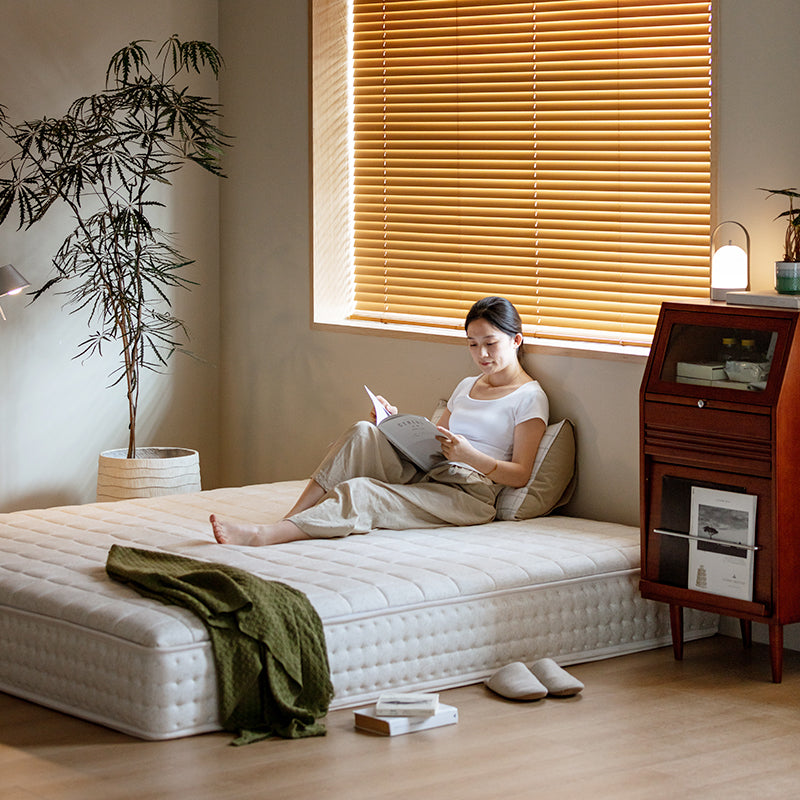 Modern Sleep Mattress