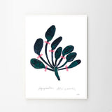 Nygårds Maria Bengtsson Agapanthus 30×40cm