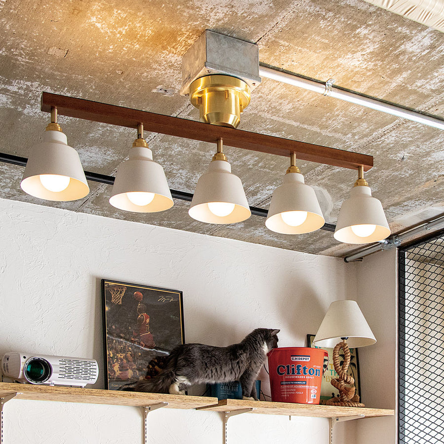 Tennessee Korat White with remote control and bulb