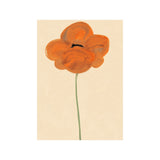 Orange Vallmo 50×70cm