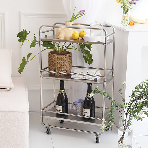 Stainless steel cart with casters, 3 shelves