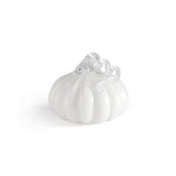 Pumpkin 10cm White
