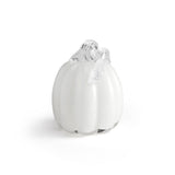 Pumpkin 14cm White