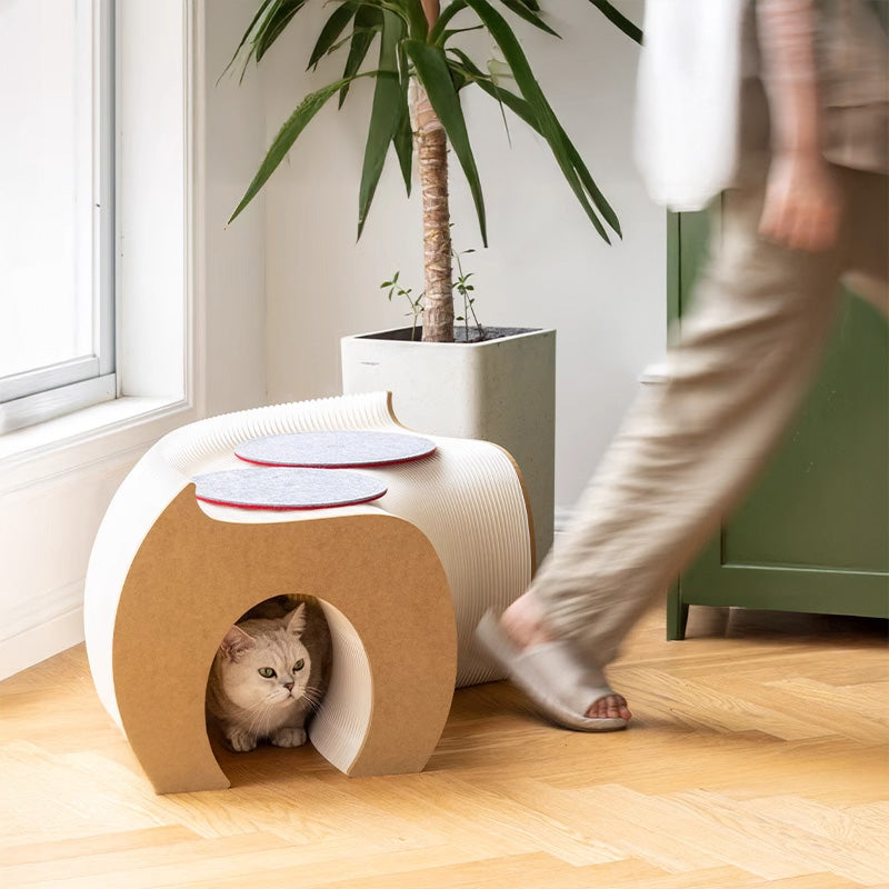 Cat tunnel bench