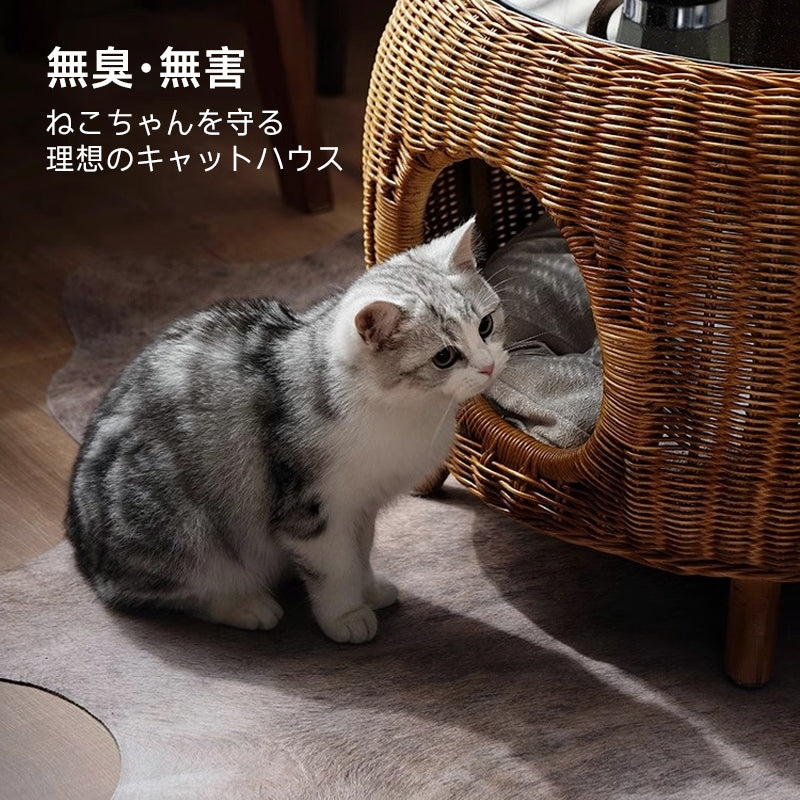 Rattan cat house side table