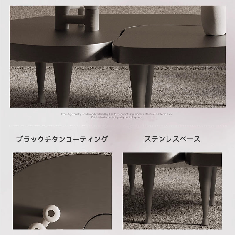 Black titanium stainless steel low table