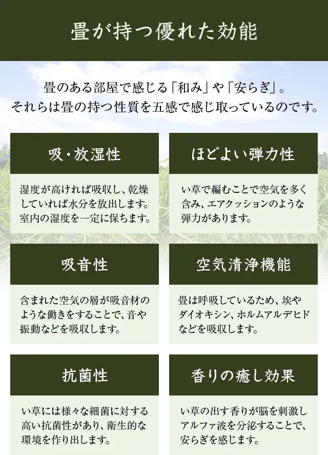 収納付き畳ベッド 緑風 ダブル