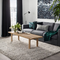 IKEA (イケア) VINDUM（ヴィンドゥム）ラグ パイル長 ホワイト