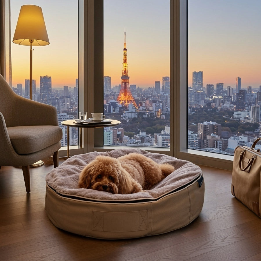 ambient lounge(アンビエントラウンジ) 犬ペットラウンジ ハイ XXL
