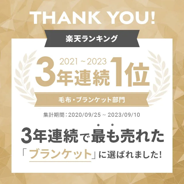 こたつ敷き布団L 吸湿発熱マイクロファイバー