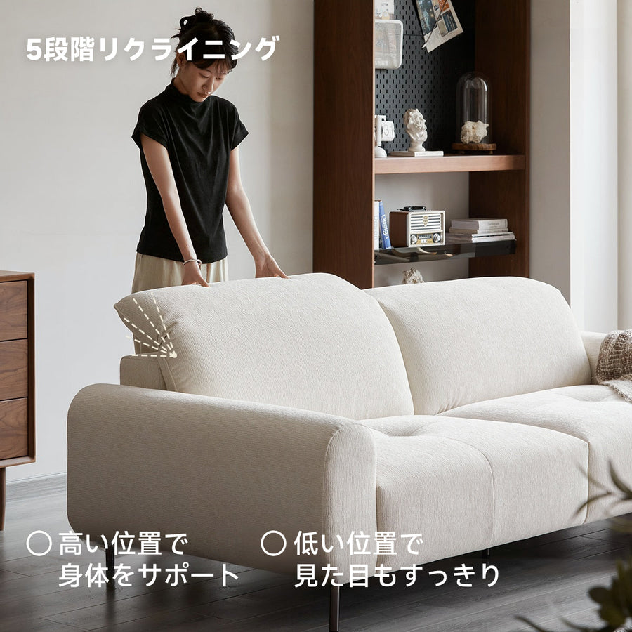 Relaxing Modern Sofa