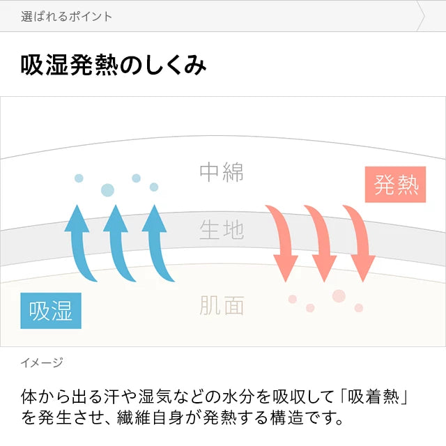 こたつ敷き布団L 吸湿発熱マイクロファイバー