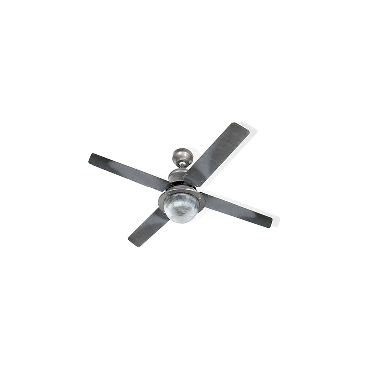 Venice ceiling fan light