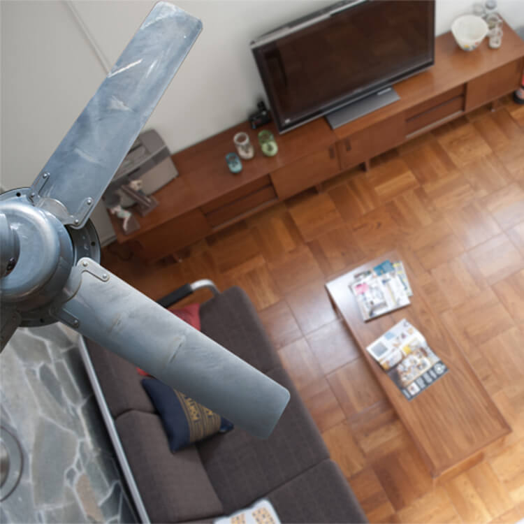Venice ceiling fan light