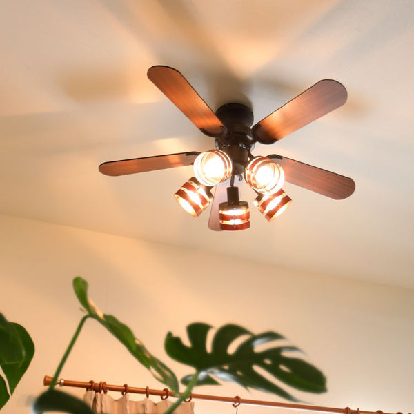 Ceiling fan light, LED bulb compatible, AC motor, 5 blades, reversible, remote control included