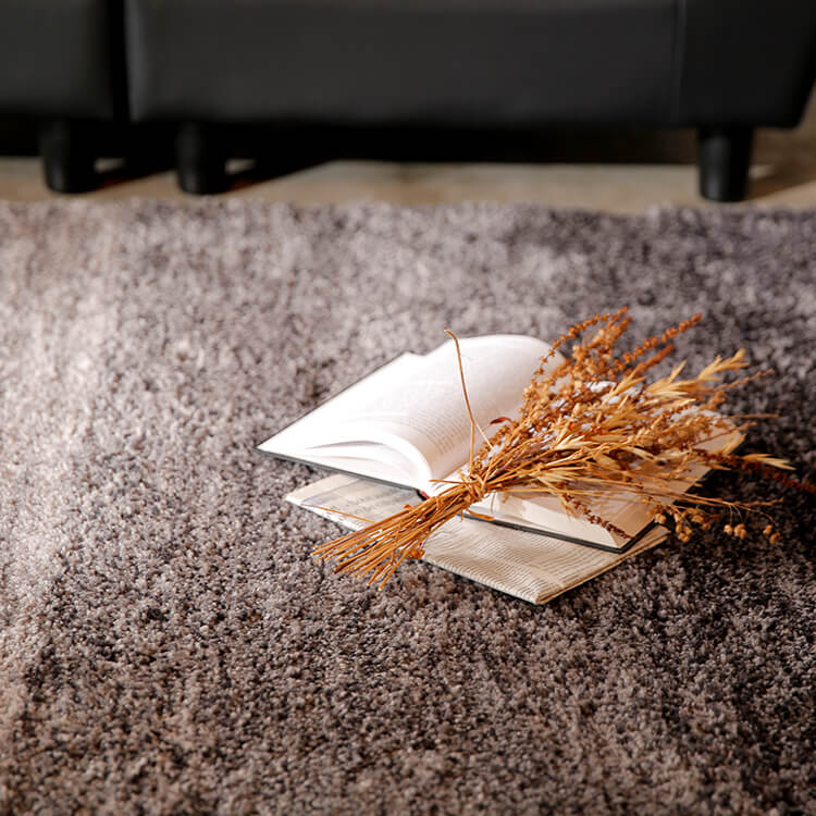 Sサイズ 長方形ラグ オールシーズン 防音 ホットカーペット・床暖房使用可