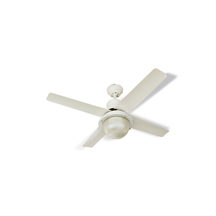 Venice ceiling fan light