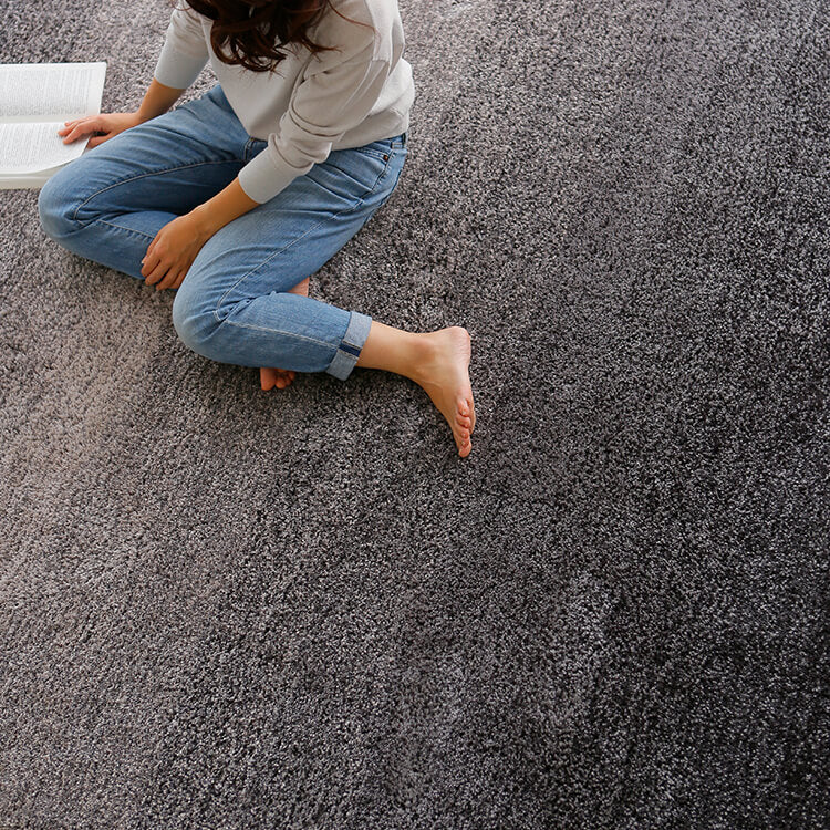 Sサイズ 長方形ラグ オールシーズン 防音 ホットカーペット・床暖房使用可