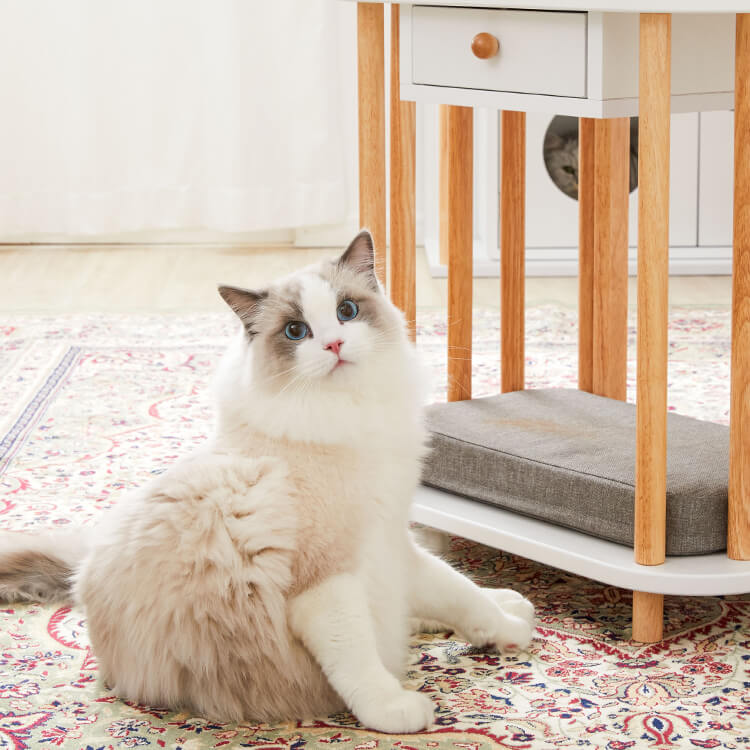 LOWNYA Cat Bed &amp; Cushion Set Pet Side Table