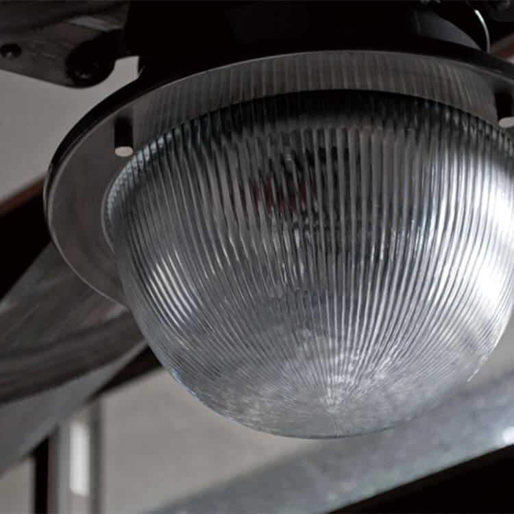 Venice ceiling fan light
