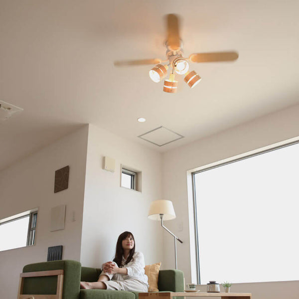 Ceiling fan light plywood