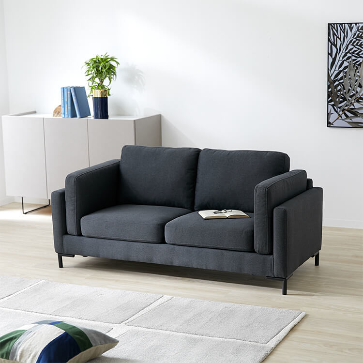 Sofa 2-seater low sofa Synthetic leather Compact Modern