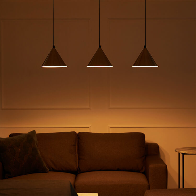 Pendant light, living room lighting, LED bulb compatible, steel